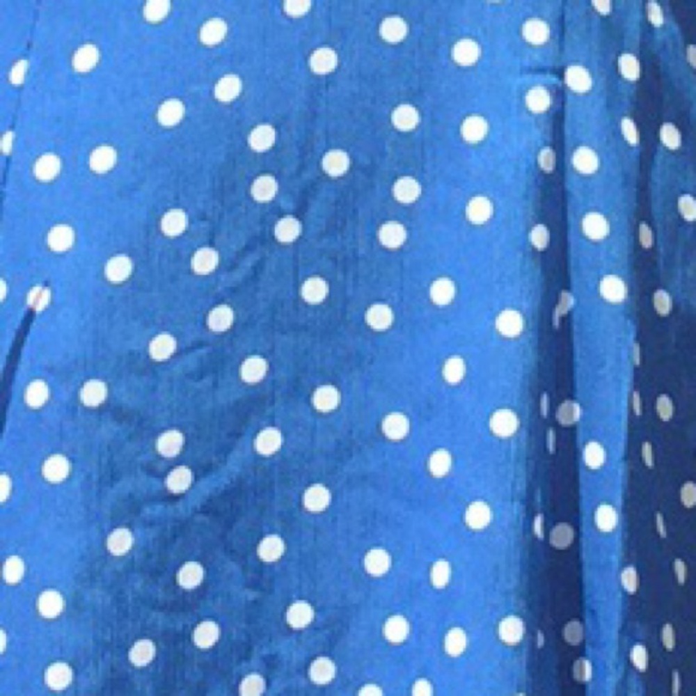 ❌DONATED❌Blue Polka Dot Cottage Style V-Neck Lined Midi Dress - Picture 8 of 9
